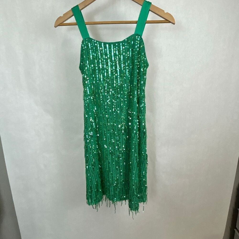 Xtraordinary Girls Sleeveless Fringe Sequin Party Dress Sz 16 Green
